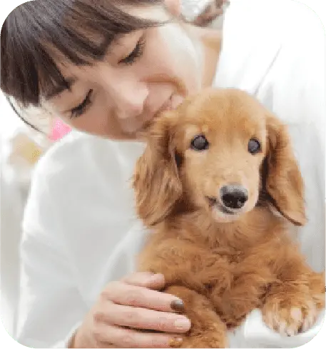 犬と女性